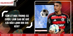 Tâm Lý Học Trong Cá Cược: Làm Sao Để Giữ Cái Đầu Lạnh Khi Soi Kèo?