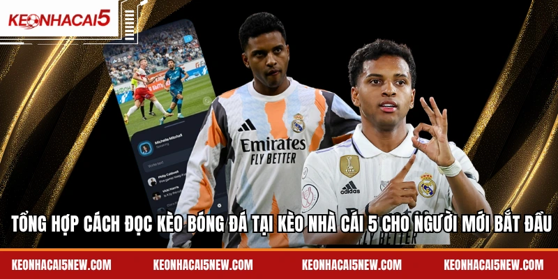 Tổng hợp cách đọc kèo bóng đá tại Kèo nhà cái 5 cho người mới bắt đầu